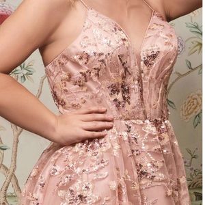 Cinderella Devine Blush Prom Dress Size 18